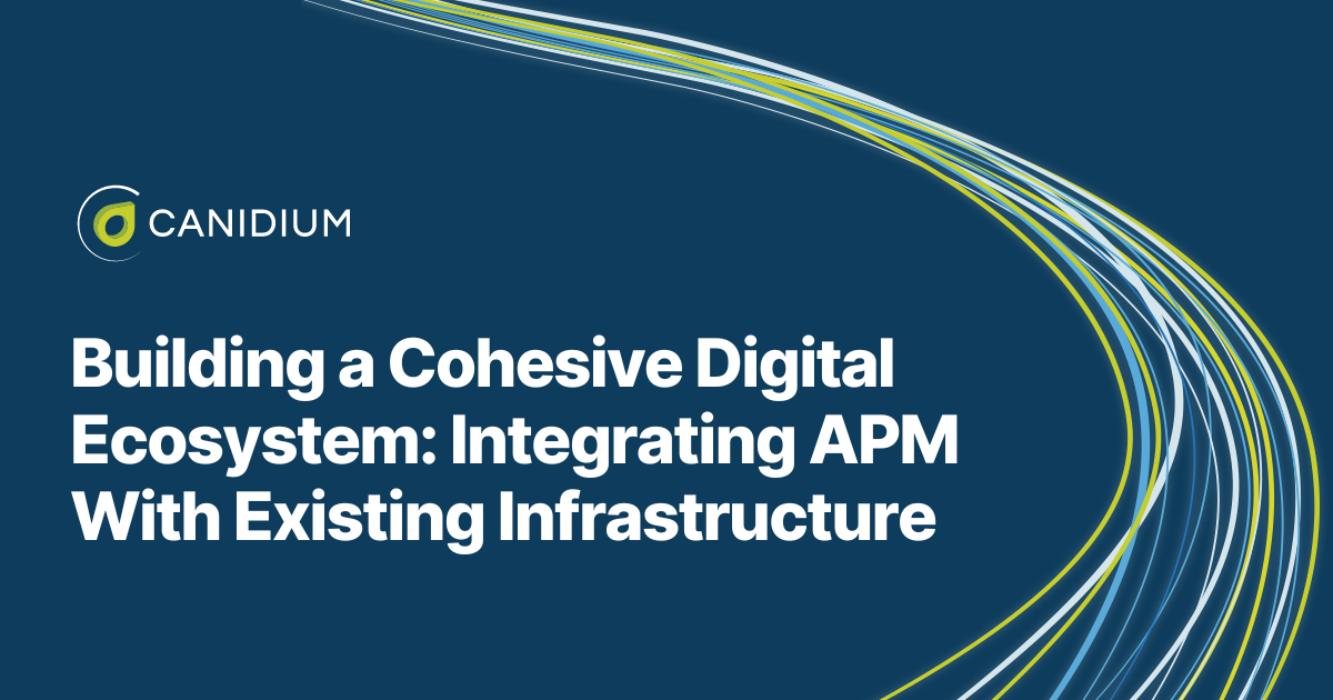 Building a Cohesive Digital Ecosystem: Integrating APM With Existing Infrastructure