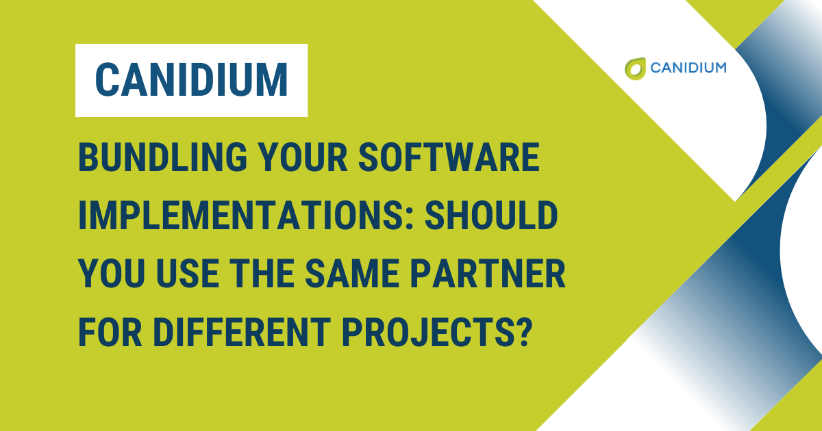 Bundling Your Software Implementations: Should You Use the Same Partner for Different Projects?